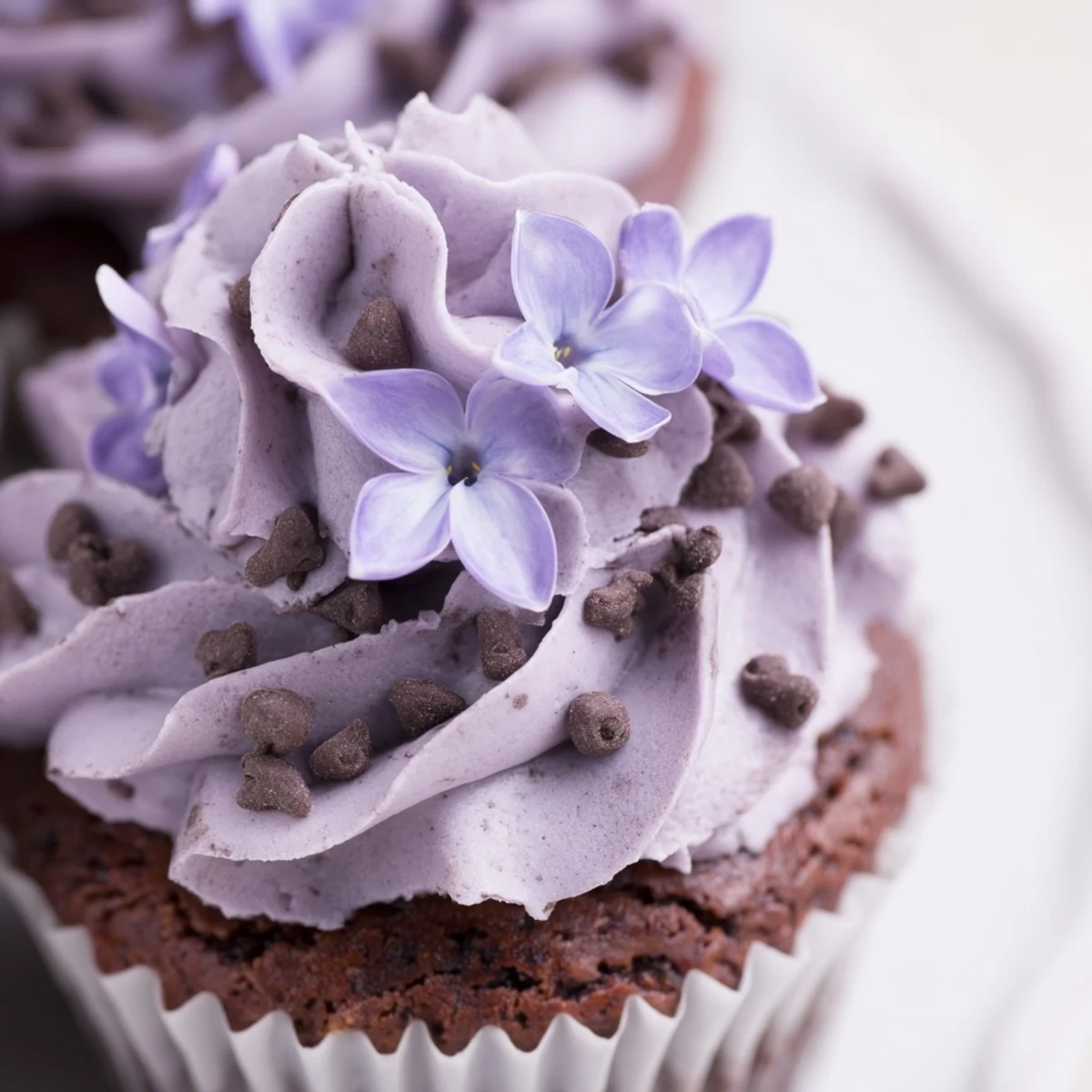 Moist chocolate cupcakes infused with delicate lilac flavor on a white serving plate