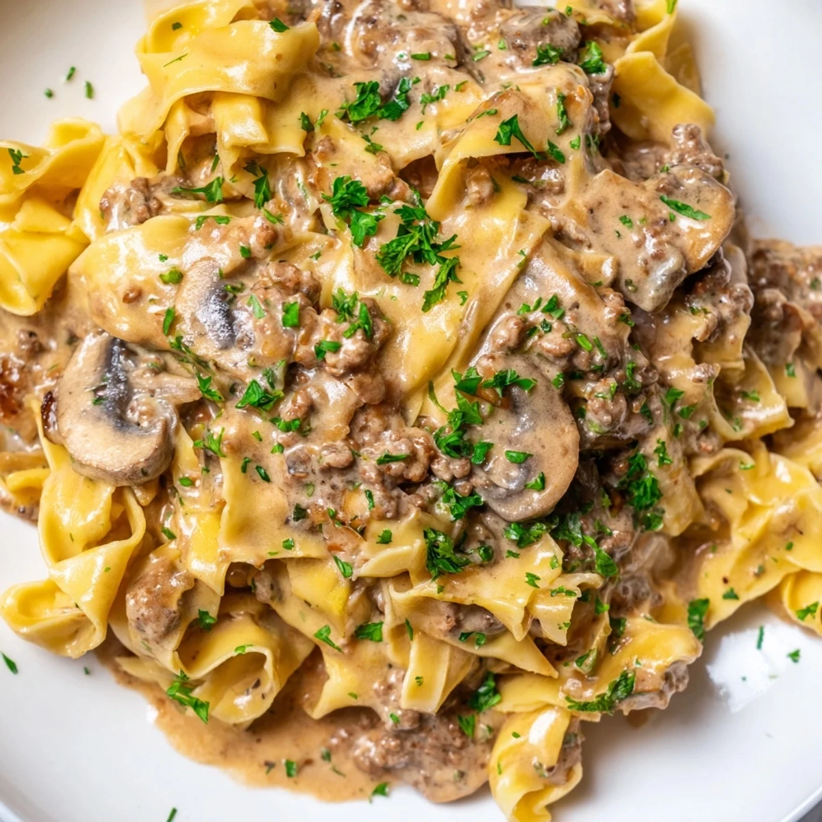Golden beef mushroom stroganoff in rich sour cream sauce atop wide egg noodles