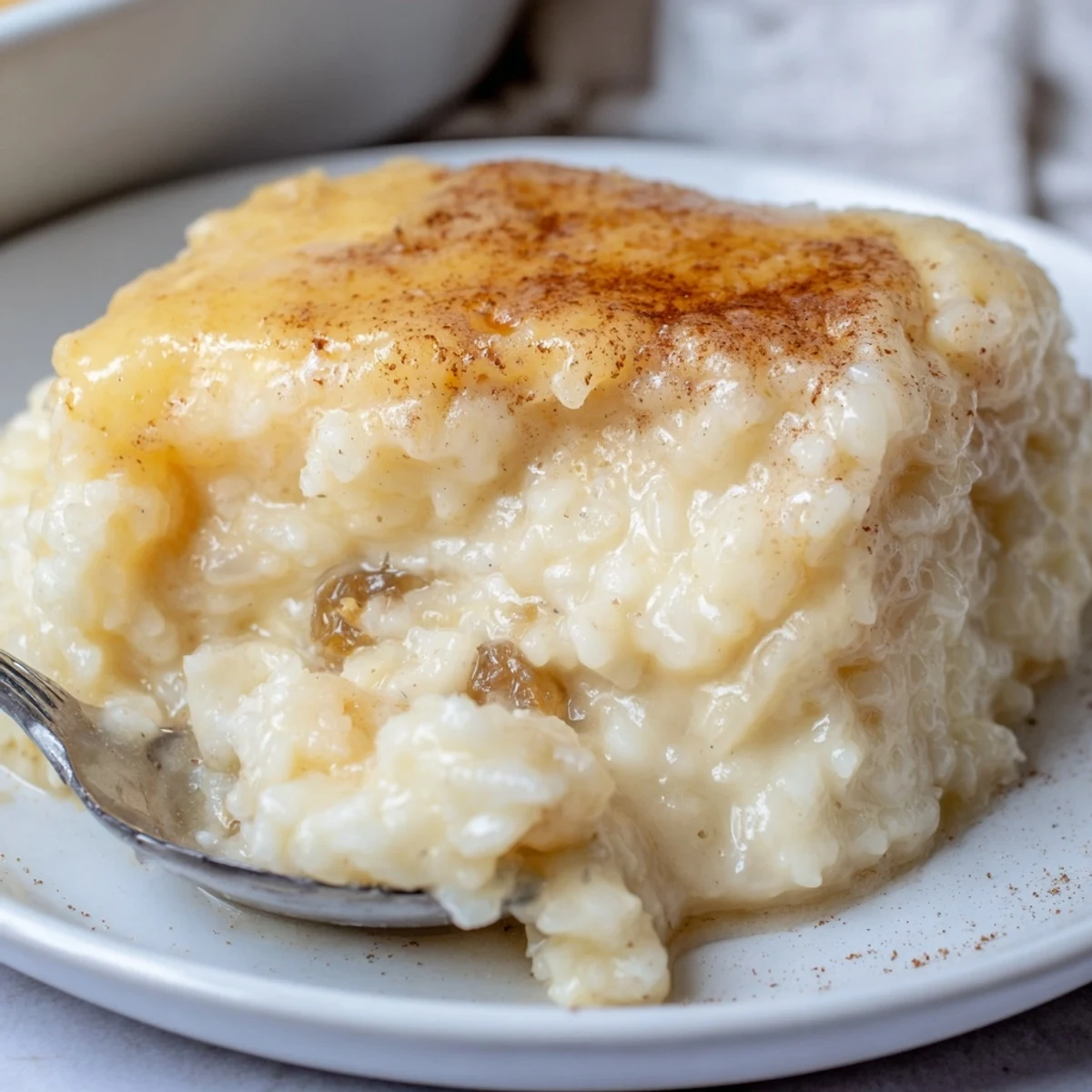 Warm spoonful of condensed milk baked rice pudding, velvety texture, cinnamon dust.